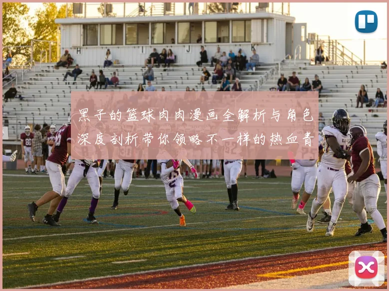 黑子的篮球肉肉漫画全解析与角色深度剖析带你领略不一样的热血青春故事