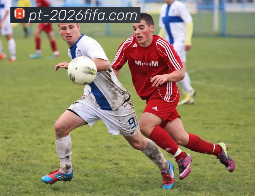 多媒体互动体验